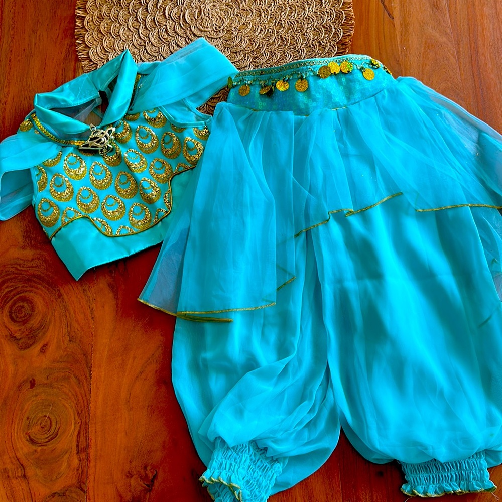 Authentic Disney Jasmine Costune